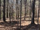 3633 Dobys Bridge Road 2 sold home in Fort Mill, SC