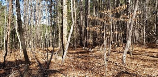 199 Windingwood Drive 10
