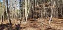 199 Windingwood Drive 10 sold home in Statesville, SC