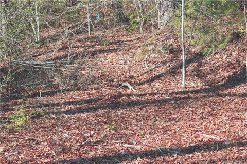 Lot 2 Gardner Lane Lot # 2 sold home in Oak Woods, Pisgah Forest, NC