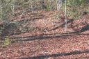 Lot 2 Gardner Lane Lot # 2 sold home in Pisgah Forest, SC
