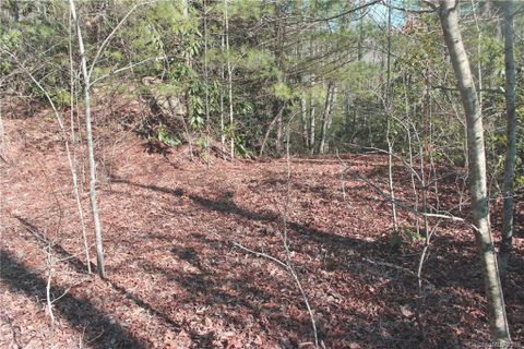 Lot 3 Gardner Lane Lot # 3 sold home in Oak Woods, Pisgah Forest, NC