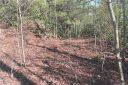 Lot 3 Gardner Lane Lot # 3 sold home in Pisgah Forest, SC