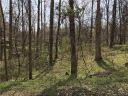 5513 Carving Tree Drive sold home in Harrisburg, SC