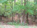 00 Arrowhead Trail 79 sold home in Columbus, SC