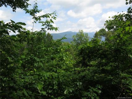 000 Wildflower Cove Road 20, 21