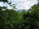 000 Wildflower Cove Road 20, 21 sold home in Swannanoa, SC