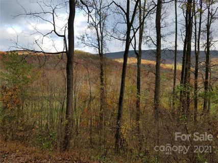Lot 17 Blue Ridge Drive