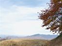 Tbd Big Spring Trail sold home in Burnsville, SC