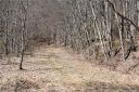 12 Sheepback Road sold home in Maggie Valley, SC