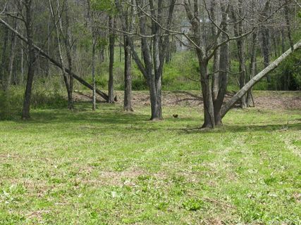 Lot 61 Twisted Trail