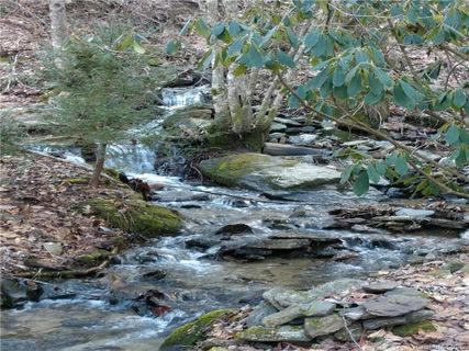 Tbd Crystal Falls Road sold home in Crystal Falls, Fairview, NC