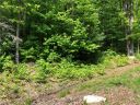Lot 67 Marshall Ridge Road sold home in Hendersonville, SC
