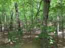 Xx Old Ridge Road sold home in Waxhaw, SC