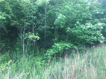 Lot 28 Back Acres Lane