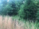 Lot 29 Back Acres Lane sold home in Kannapolis, SC