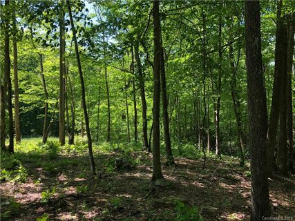 1230 Arborcrest Way Lot 47