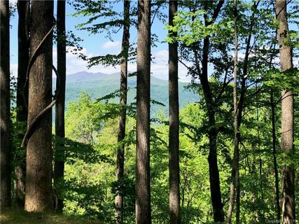 1319 Daydream Ridge Lot 53