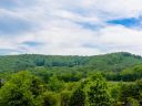 210 Bridgeman Way 15 sold home in Asheville, SC