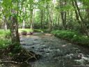 2 Susanna Cove Road sold home in Mars Hill, SC