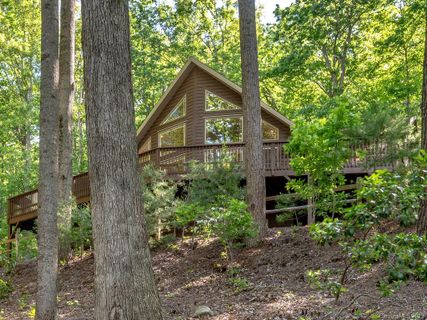 217 Blue Ridge Vista