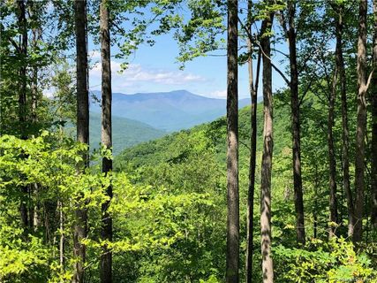 1332 Daydream Ridge Lot 67