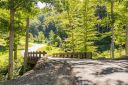 19 Twinflower Trail sold home in Asheville, SC