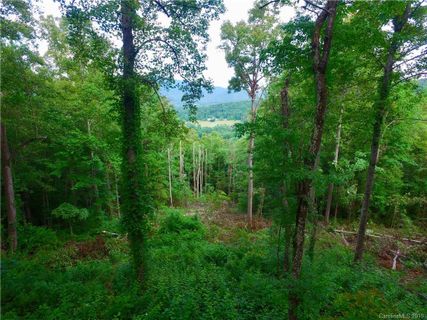 99999 Pheasant Ridge Drive 16 sold home in Pheasant Ridge, Fairview, NC