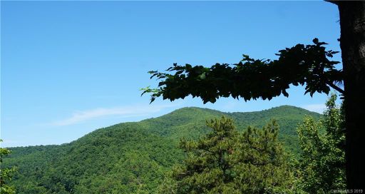 124 Davey Crockett Road 8 sold home in Wildflower Ridge, Fairview, NC