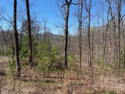 Lot 302 Mountain Brook Trail