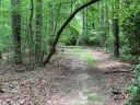 2e Reserve Road sold home in Pisgah Forest, SC