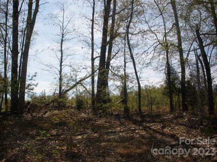 1316 Timber Springs Lane