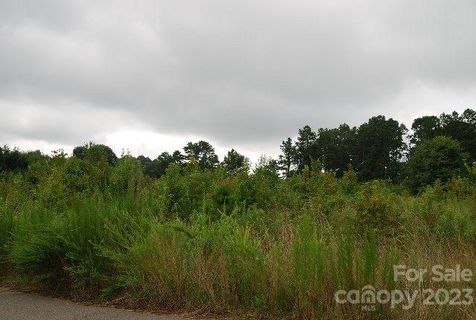 1115 Reba Lane sold home in CANEBREAK RIDGE, Kannapolis, NC
