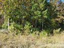 1077 Shawnee Trail sold home in China Grove, SC