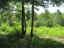 7 Woods Laurel Lane 07 sold home in Mill Spring, SC