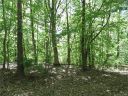 29 General Griffith Circle sold home in Rutherfordton, SC