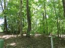 16 General Griffith Circle sold home in Rutherfordton, SC