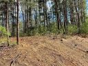 46 Osprey Roost Drive sold home in Nebo, SC
