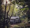 123 Forest Hill Drive sold home in Asheville, SC
