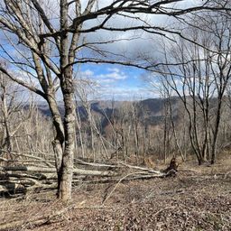 Lot 39 Ridge Top Circle