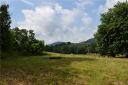 240 Ferguson Cove Loop 22 sold home in Clyde, SC