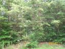 1207 Forest Ridge Drive sold home in Bessemer City, SC
