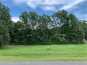 2 245 Ac Rabbit Highway 49 sold home in Harmony, SC