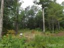 0 Fox Ridge Trail 6 sold home in Marion, SC
