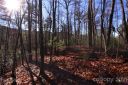 Lot 27 Oconee Bell Lane sold home in Brevard, SC