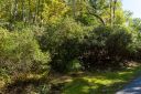 000 Winterstar Loop sold home in Burnsville, SC