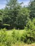 Tbd Chimney Rock Road 1 SEC D sold home in Mill Spring, SC