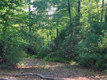10c Reserve Road sold home in The Reserve, Pisgah Forest, NC
