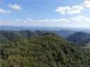 000 Granny Shepherd Road 5/Section 9 sold home in Mars Hill, SC