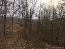 Tbd Camsyn Drive 40 sold home in Weaverville, SC